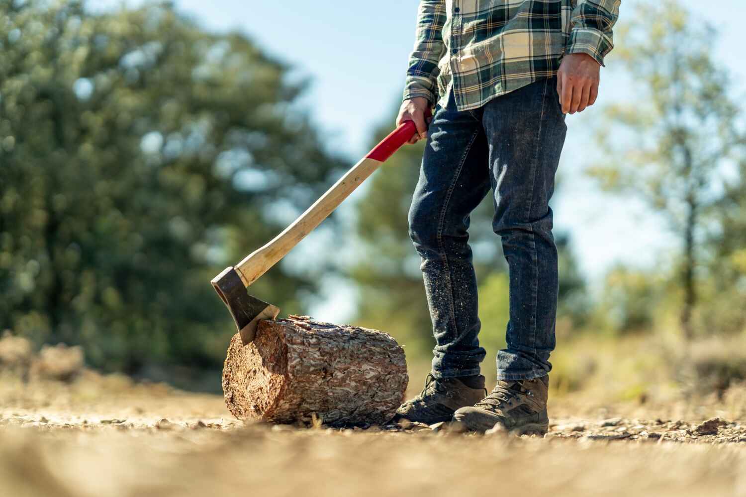 Best Tree Branch Trimming  in USA